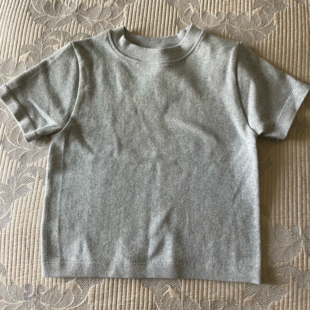 Dynamite Grey Ribbed Knit Crop Tee